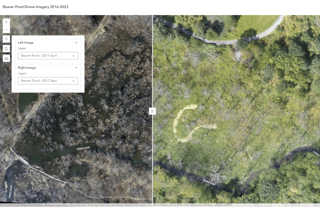 Beaver Pond Imagery Viewer